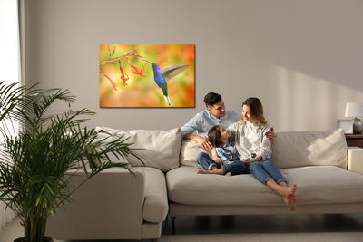 Ljuddämpande tavla - Hummingbird bird and flowers