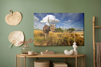 Ljuddämpande tavla - Deer against the sky
