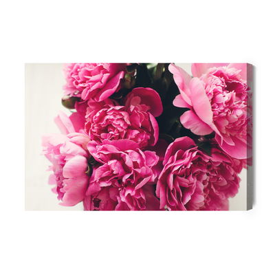 Ljuddämpande tavla - Bouquet of peony roses