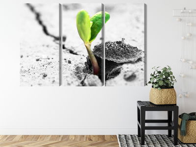 Ljuddämpande tavla - 3d plant sprouting