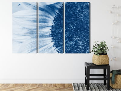 Ljuddämpande tavla - Blue sunflower on a macro