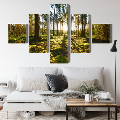 Ljuddämpande tavla - Forest landscape with sunset