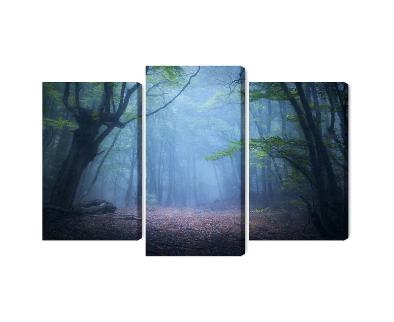 Ljuddämpande tavla - Hazy 3d forest landscape