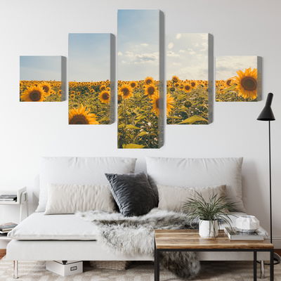 Ljuddämpande tavla - Sunflower field on a summer