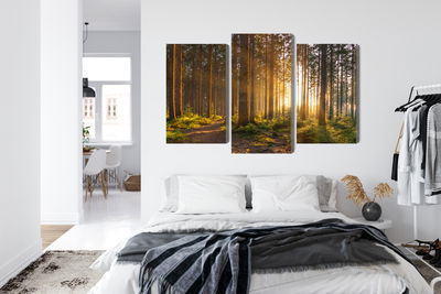 Ljuddämpande tavla - Sunset in the forest