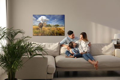 Ljuddämpande tavla - Deer against the sky