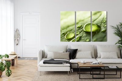 Ljuddämpande tavla - Water drops on a leaf