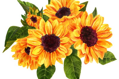 Ljuddämpande tavla - A bouquet of sunflowers as