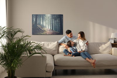 Ljuddämpande tavla - Trail in a dark pine forest