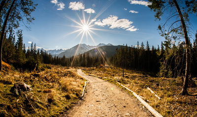 Ljuddämpande tavla - A sunny day in the tatras 3d