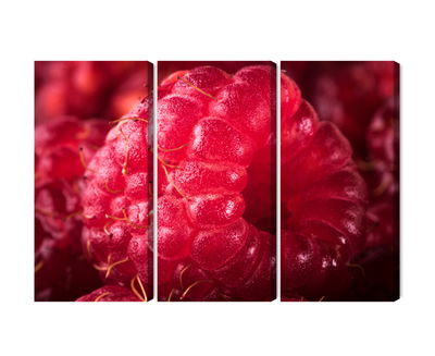 Ljuddämpande tavla - Raspberries on a macro scale