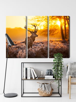 Ljuddämpande tavla - Deer in the forest at sunset
