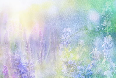 Ljuddämpande tavla - Lavender painted