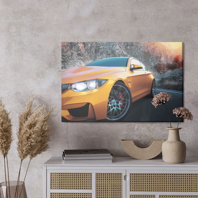 Ljuddämpande tavla - Sports car in the mountains