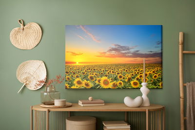 Ljuddämpande tavla - Sunset over a field