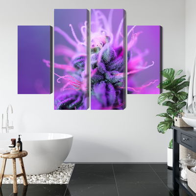 Ljuddämpande tavla - Macro plant on a pink-purple