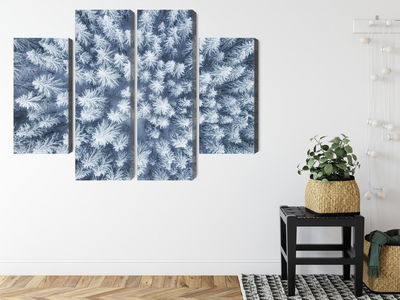 Ljuddämpande tavla - Aerial view of the winter