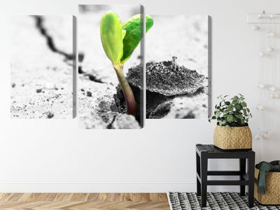 Ljuddämpande tavla - 3d plant sprouting