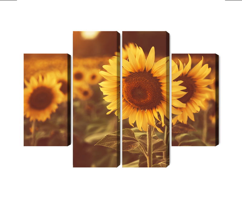 Ljuddämpande tavla - A field of sunflowers