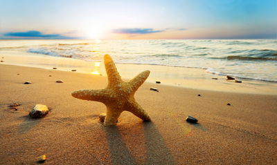 Ljuddämpande tavla - Starfish on the beach 3d