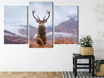 Ljuddämpande tavla - A deer on a background