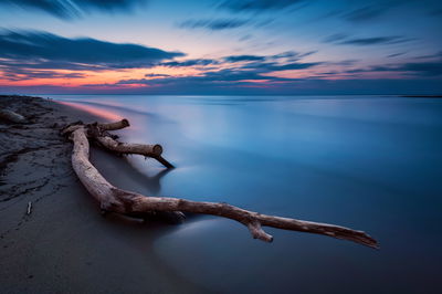 Ljuddämpande tavla - The sea landscape at evening