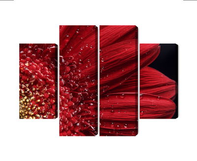 Ljuddämpande tavla - Flower petals on a macro