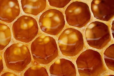 Ljuddämpande tavla - Honeycomb in macro scale