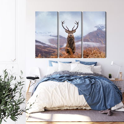 Ljuddämpande tavla - A deer on a background