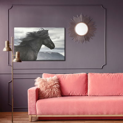 Ljuddämpande tavla - Black horse on a background