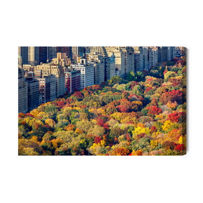 Ljuddämpande tavla - Central park aerial view