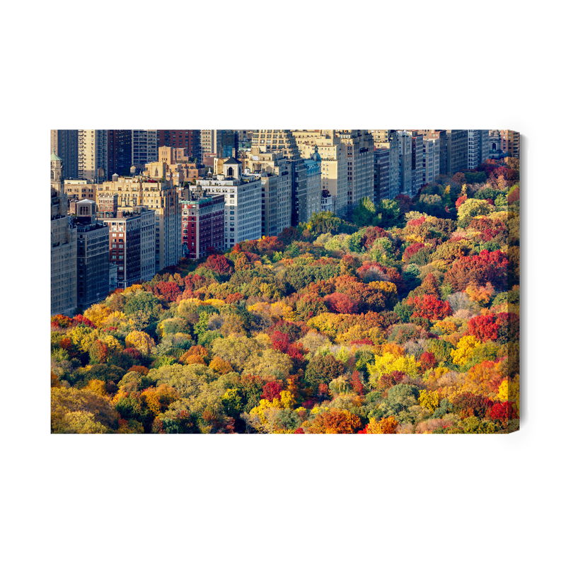 Ljuddämpande tavla - Central park aerial view
