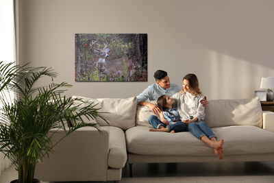 Ljuddämpande tavla - A deer among the forest