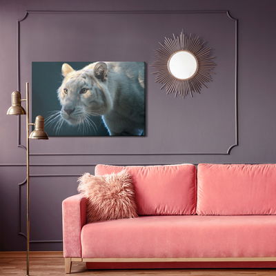 Ljuddämpande tavla - Beautiful white tiger