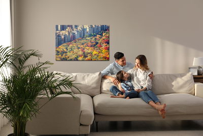 Ljuddämpande tavla - Central park aerial view