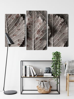 Ljuddämpande tavla - Gray leaves on a macro scale