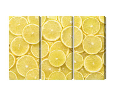 Ljuddämpande tavla - Lemon slices