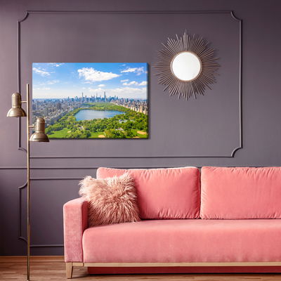 Ljuddämpande tavla - Aerial view of central park