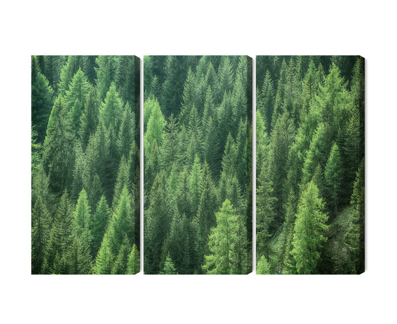Ljuddämpande tavla - Green forest view 3d