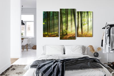 Ljuddämpande tavla - The rays of the sun