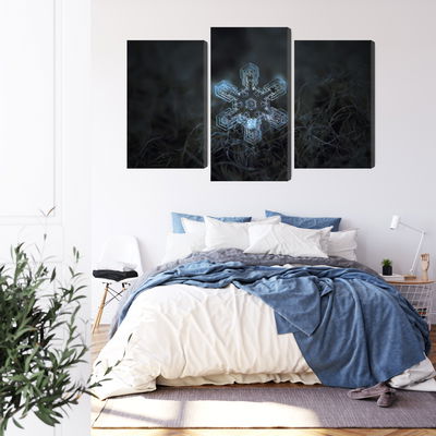 Ljuddämpande tavla - Snow flake in 3d macro scale