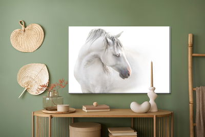 Ljuddämpande tavla - A white horse in the fog