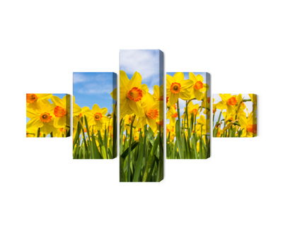 Ljuddämpande tavla - Daffodil field 3d