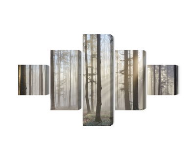 Ljuddämpande tavla - Sunrise in the woods