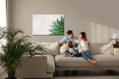 Ljuddämpande tavla - Green leaves on a gray