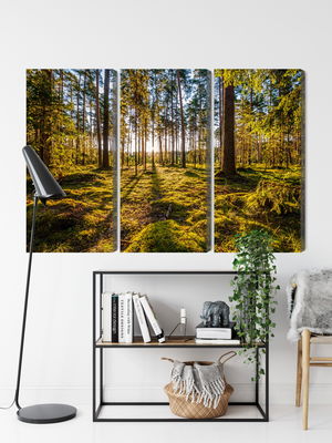 Ljuddämpande tavla - 3d sunny forest landscape
