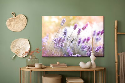 Ljuddämpande tavla - Of flowering lavender