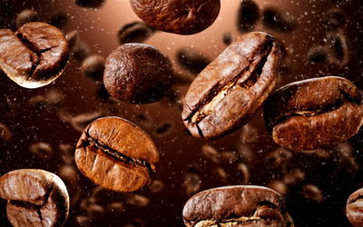Ljuddämpande tavla - Brown coffee beans