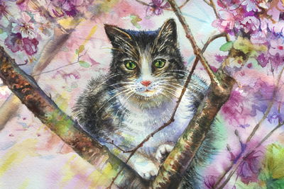 Ljuddämpande tavla - Cat in a flowering garden