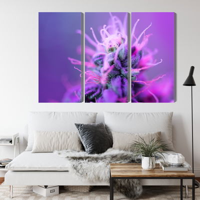 Ljuddämpande tavla - Macro plant on a pink-purple